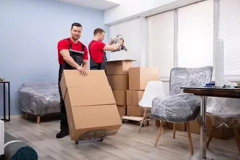 Best Mover Packer Dubai, movers and packers services
